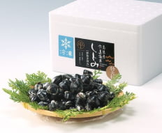 水産物・水産加工品